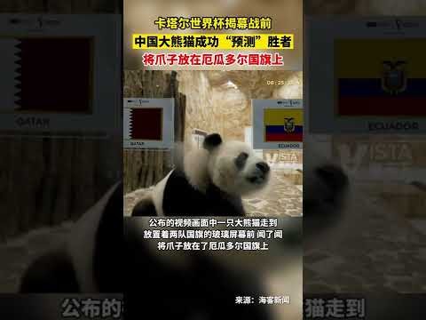 林赛,沃恩就高龄,复出话题进,开云足球,足球赛事资讯,足球比赛赛程,足球赛事平台,足球比赛信息