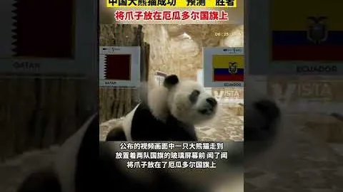 林赛·沃恩就高龄复出话题进行辩解