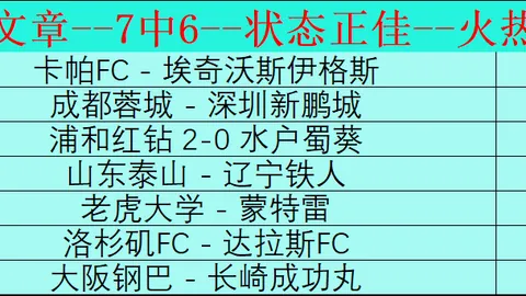 “中国网球选手澳网征程折戟第二轮，蓄势待发再攀高峰”